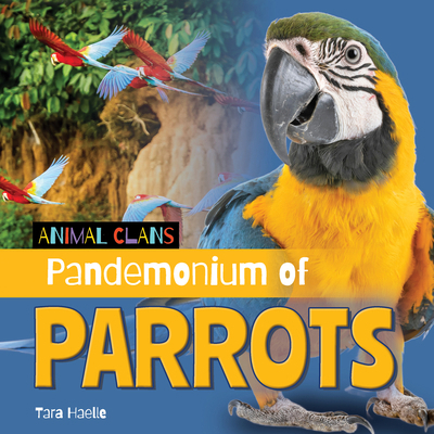 Pandemonium of Parrots 1668980371 Book Cover