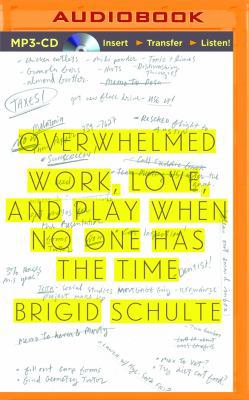 Overwhelmed: Work, Love, and Play When No One H... 149153057X Book Cover
