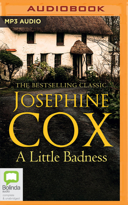 A Little Badness 1038600189 Book Cover
