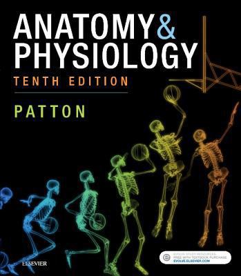 Anatomy & Physiology 0323529046 Book Cover