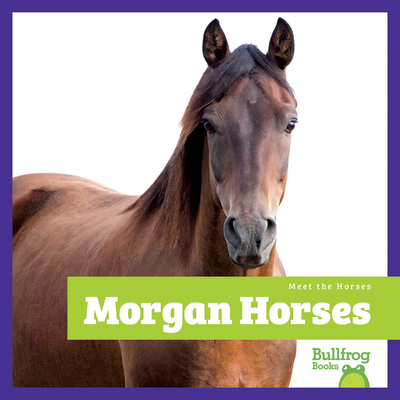 Morgan Horses B0FPGQC53F Book Cover