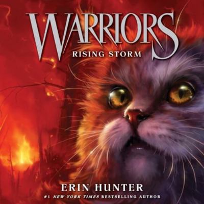 Warriors #4: Rising Storm 153850152X Book Cover