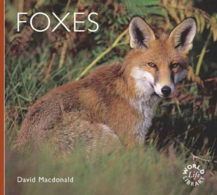 Foxes 1841070416 Book Cover