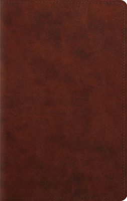 Large Print Personal Size Bible-ESV [Large Print] 1433541548 Book Cover