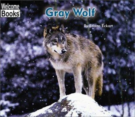Gray Wolf (Welcome Books) 0516278916 Book Cover