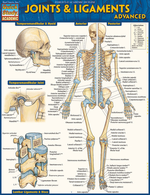 Joints & Ligaments Advanced: Quickstudy Laminat... 1423224183 Book Cover