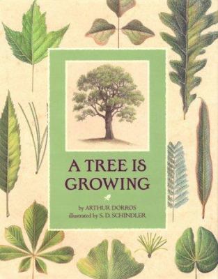 A Tree is Growing 0590453009 Book Cover