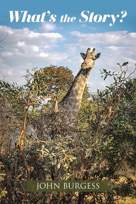 What's the Story? 1664104682 Book Cover