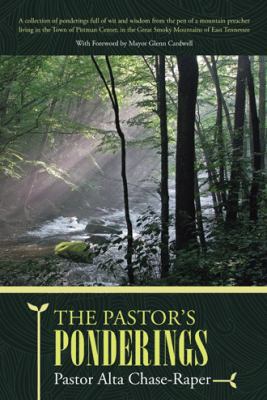 The Pastor's Ponderings 149080496X Book Cover