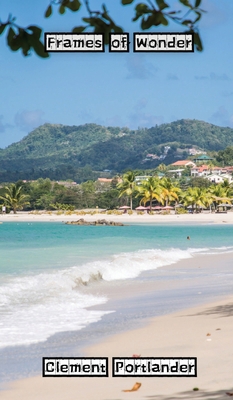 Frames of Wonder 9916881227 Book Cover