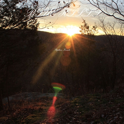 Blue Hills 1105281256 Book Cover