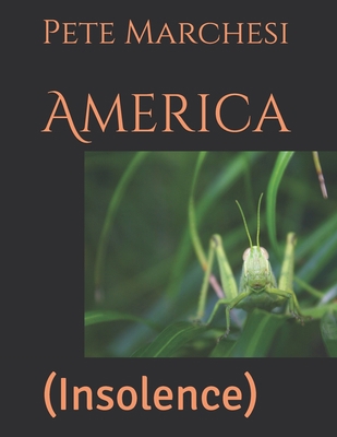 America: (Insolence) B08C96911H Book Cover
