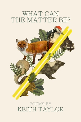 What Can the Matter Be? 0814351409 Book Cover