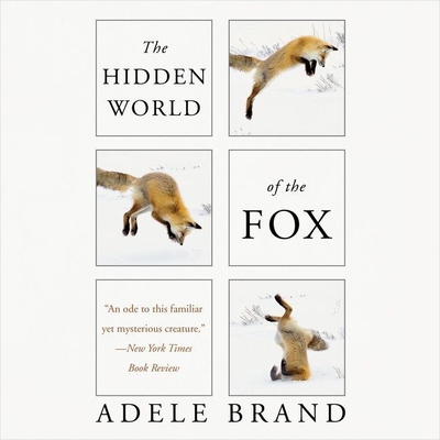 The Hidden World of the Fox 1094026085 Book Cover