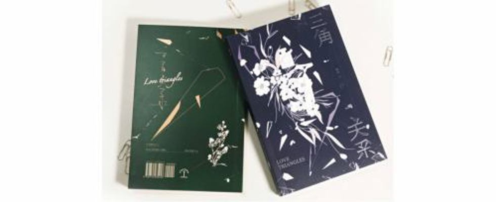 Paperback Love Triangles Volume 2 Book