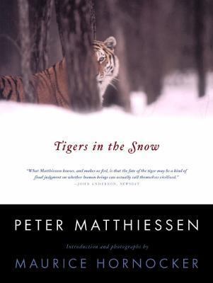 Tigers in the Snow 0865475962 Book Cover