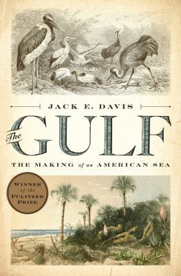 The Gulf: The Making of an American Sea 087140866X Book Cover