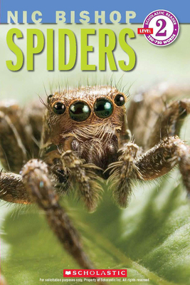 Spiders (Nic Bishop: Scholastic Reader, Level 2) 0545237572 Book Cover