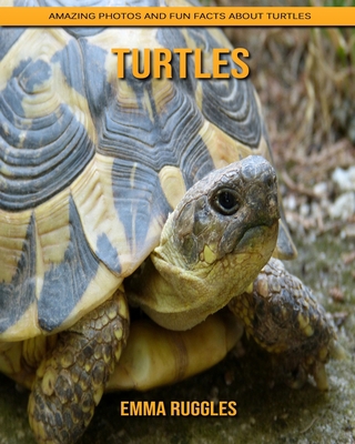 Turtles: Amazing Photos and Fun Facts about Turtles