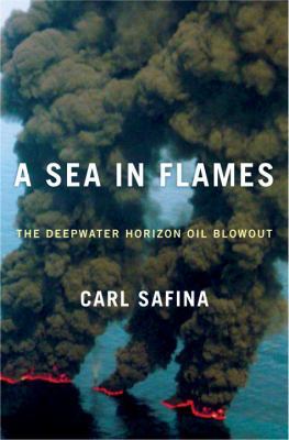 A Sea in Flames: The Deepwater Horizon Oil Blowout 0307887359 Book Cover