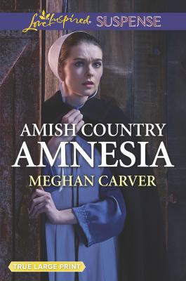 Amish Country Amnesia 1335459324 Book Cover