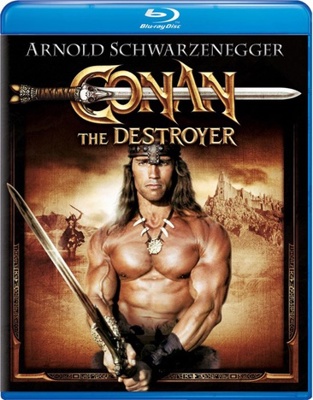 Conan the Destroyer B00509KXVC Book Cover