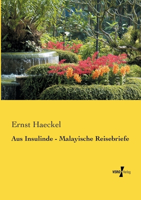 Aus Insulinde - Malayische Reisebriefe [German] 3737201218 Book Cover