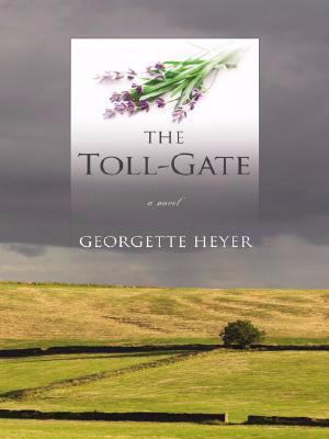 The Toll-Gate [Large Print] 1410408329 Book Cover