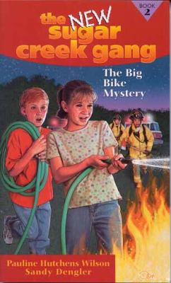 The Big Bike Mystery 0802486622 Book Cover