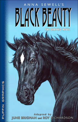 Black Beauty: The Graphic Novel 0756958083 Book Cover