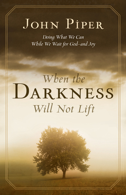 When the Darkness Will Not Lift: Doing What We ... 1581348762 Book Cover