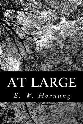 At Large 1480215015 Book Cover