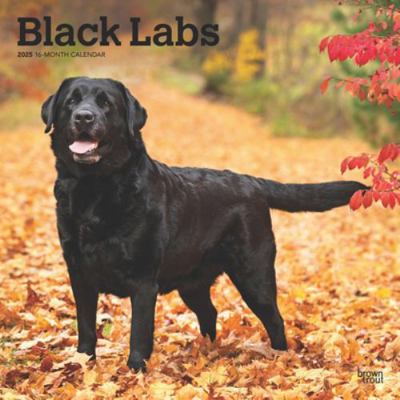 Black Labrador Retrievers 2025 12 X 24 Inch Mon... 1975477340 Book Cover