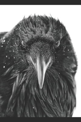 The Raven's Tide B0FPFCR3QJ Book Cover