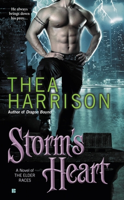 Storm's Heart B0073N7Z4Q Book Cover