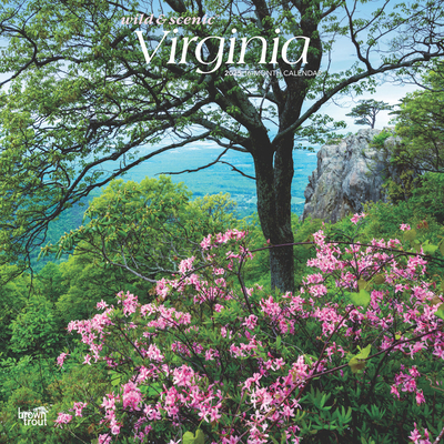 Virginia Wild & Scenic 2025 12 X 24 Inch Monthl... 1975475860 Book Cover