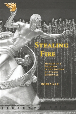 Stealing Fire: Memoir of a Boyhood in the Shado... B09L3YWPLJ Book Cover