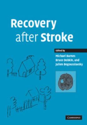 Recovery After Stroke 0521105145 Book Cover