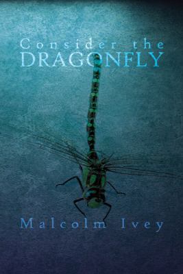 Consider the Dragonfly 1478714255 Book Cover