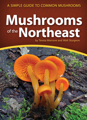 Mushrooms of the Northeast: A Simple Guide to C... 1591935911 Book Cover