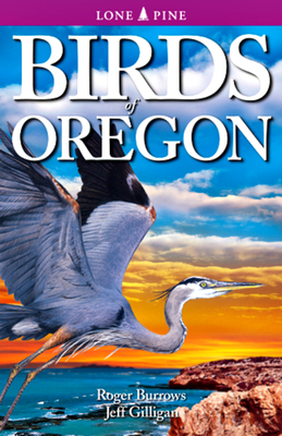 Birds of Oregon 1772130222 Book Cover