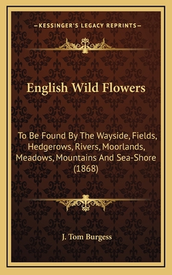 English Wild Flowers: To Be Found by the Waysid... 1164342320 Book Cover