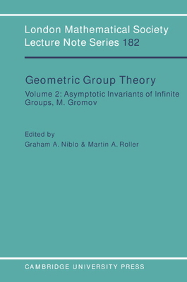 Geometric Group Theory: Volume 2 0521446805 Book Cover