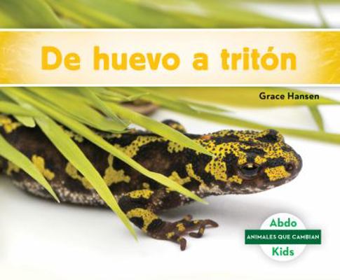 de Huevo a Triton (Becoming a Newt) [Spanish] 1532183984 Book Cover
