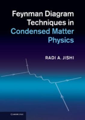 Feynman Diagram Techniques in Condensed Matter ... 1107025176 Book Cover