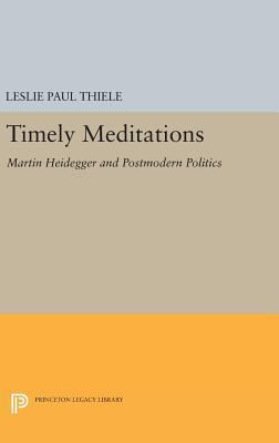 Timely Meditations: Martin Heidegger and Postmo... 0691637695 Book Cover