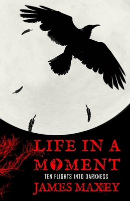 Life in a Moment: Ten Flights into Darkness B0CM6HFX4P Book Cover