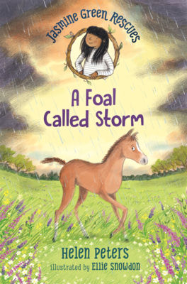 Foal Called Storm B0GMZSD2NN Book Cover