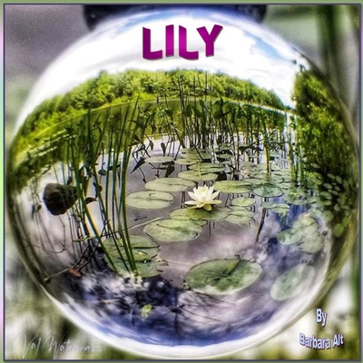 Lily B08GLSWXH5 Book Cover