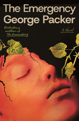 The Emergency 0374614725 Book Cover